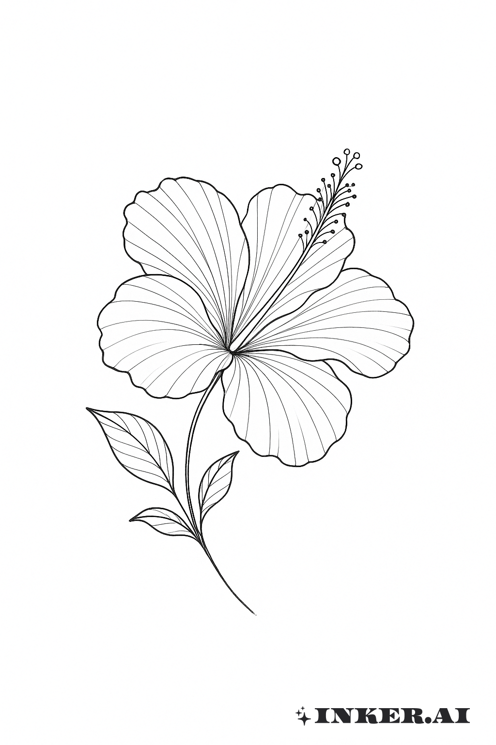 細線黑白木槿花